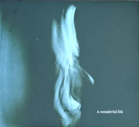 TOM ODELL - A Wonderful Life (CD)