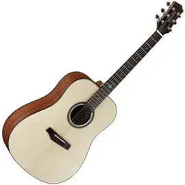 Акустическая гитара Randon RG-20