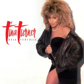 Виниловая пластинка Tina Turner - Break Every Rule (2022 Remaster) NEW Sealed Vinyl LP Album