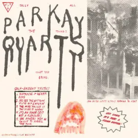 Parquet Courts - Tally All The Things That You Broke NEW Vinyl