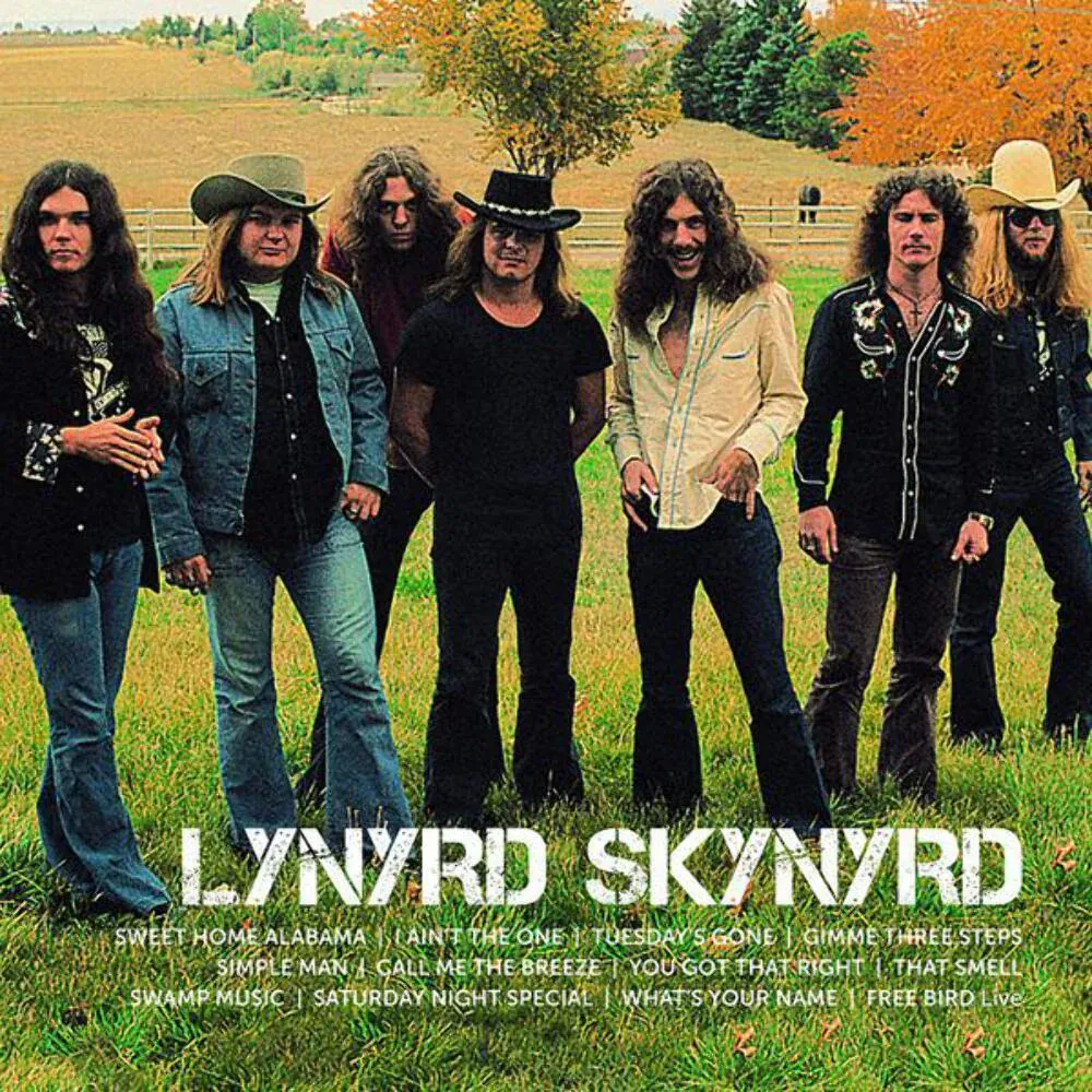 Виниловая пластинка Lynyrd Skynyrd – Icon Sealed