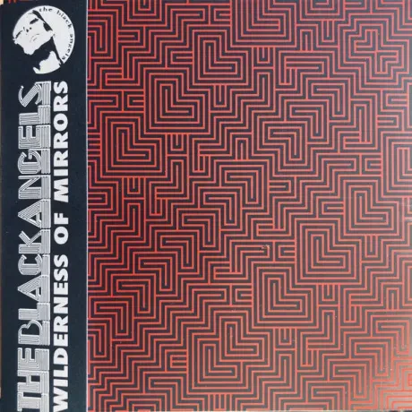 THE BLACK ANGELS - Wilderness Of Mirrors (CD)