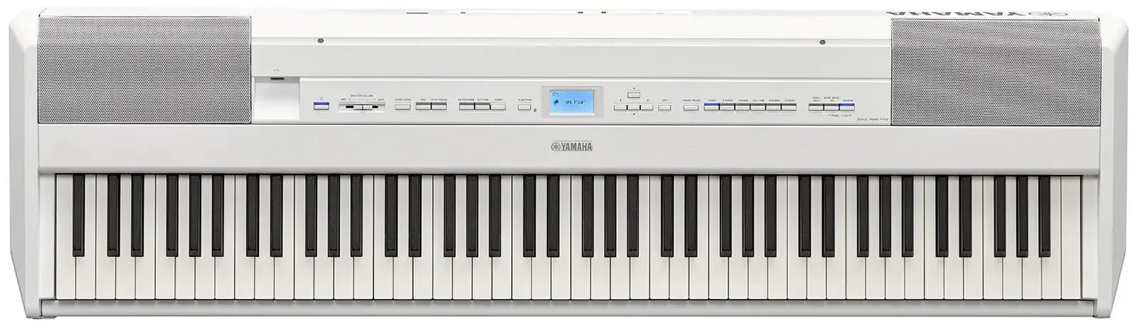 Изображение №2