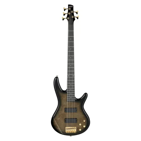 Ibanez Gio GSR205PC 5 String Transparent Pale Black Burst Electric Bass Guitar