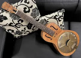 JOHNSON JR-860E-MA Resonator Elektro-Akustik