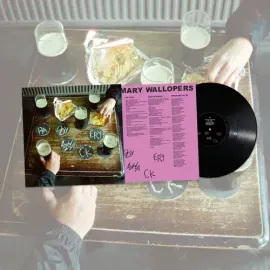 Виниловая пластинка The Mary Wallopers - Paddywhackery [New Vinyl LP]