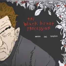 Виниловая пластинка The Black Heart Procession - Amore Del Tropico [New Vinyl LP]