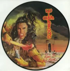 Виниловая пластинка WISHBONE ASH – Raw To The Bone
