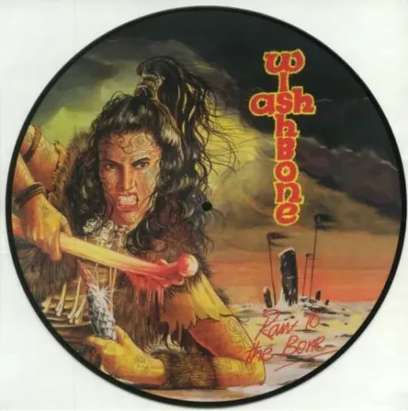 Виниловая пластинка WISHBONE ASH – Raw To The Bone