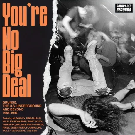 VARIOUS ARTISTS - You’re No Big Deal (Grunge, The U.S. Underground And Beyond 1984-1994) (4CD)