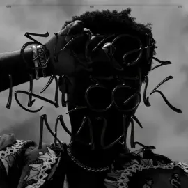 Виниловая пластинка Haleek Maul - Errol [New Vinyl LP] Silver