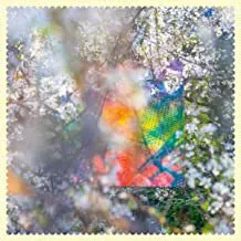 Виниловая пластинка Four Tet – Sixteen Oceans (2LP) (Релиз 2020)