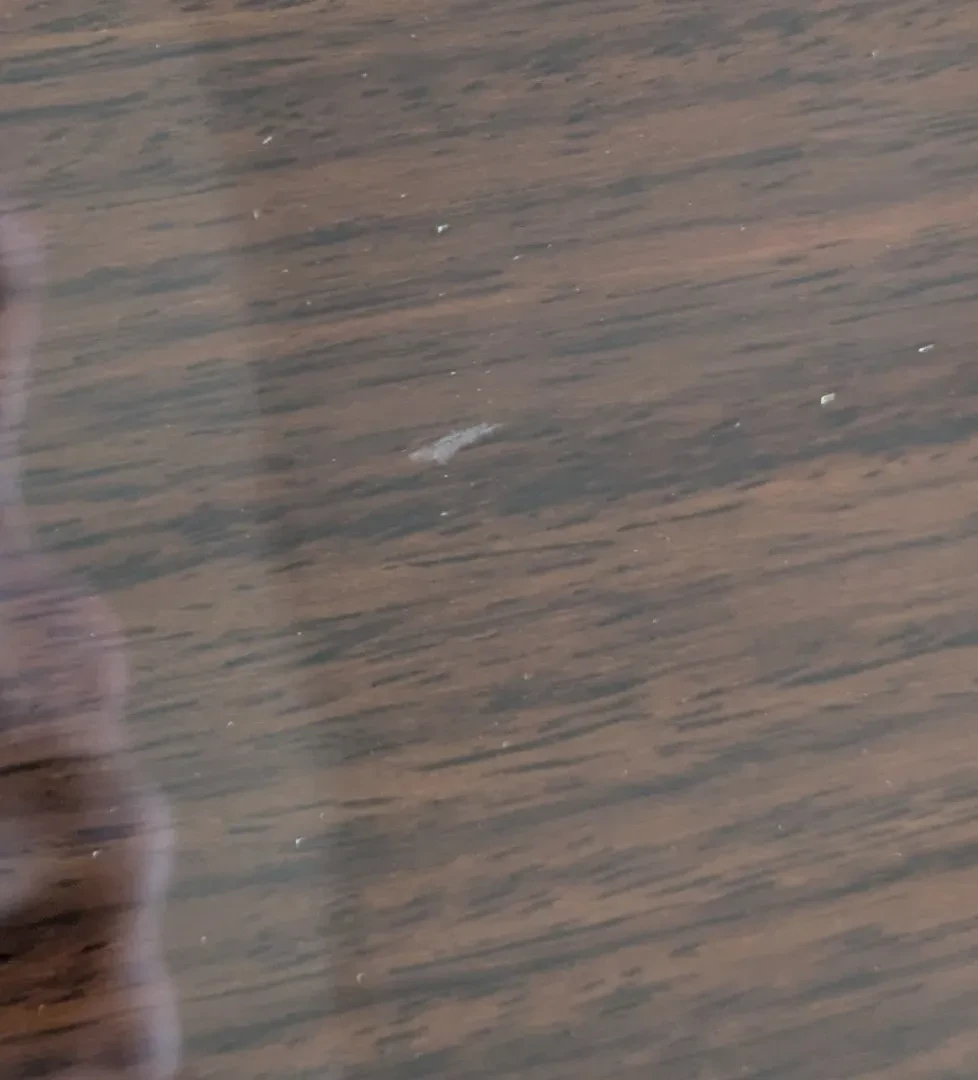 Изображение №8