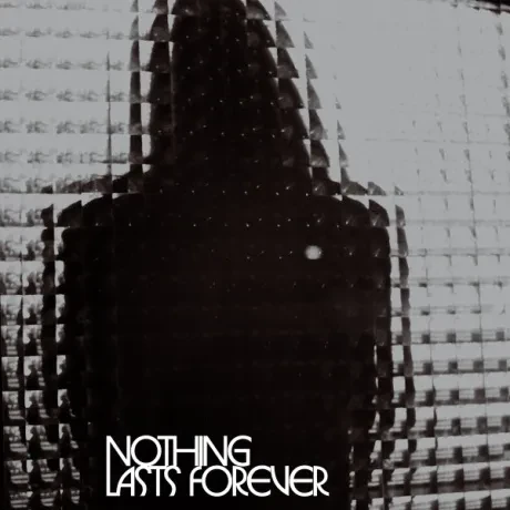 Виниловая пластинка Teenage Fanclub – Nothing Lasts Forever