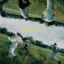 Виниловая пластинка The Band Camino – Neveralways 2025