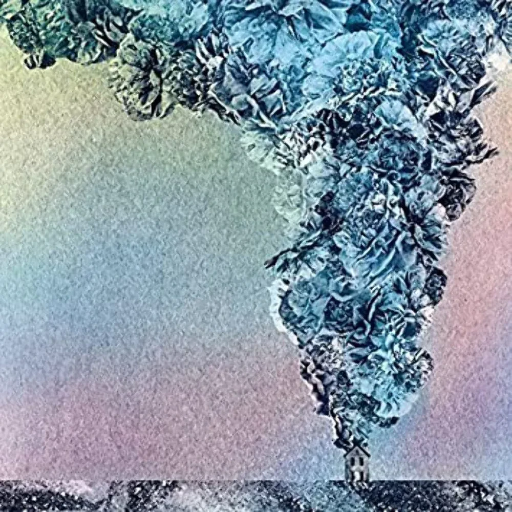 Виниловая пластинка Daughn Gibson – Carnation Релиз 2015 Sealed