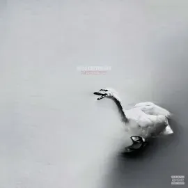 Виниловая пластинка Goosebytheway – Nature Boy (Релиз 2026)