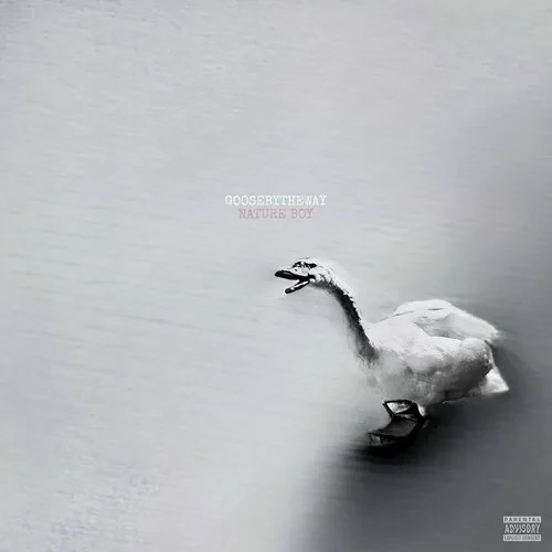 Виниловая пластинка Goosebytheway – Nature Boy (Релиз 2026)
