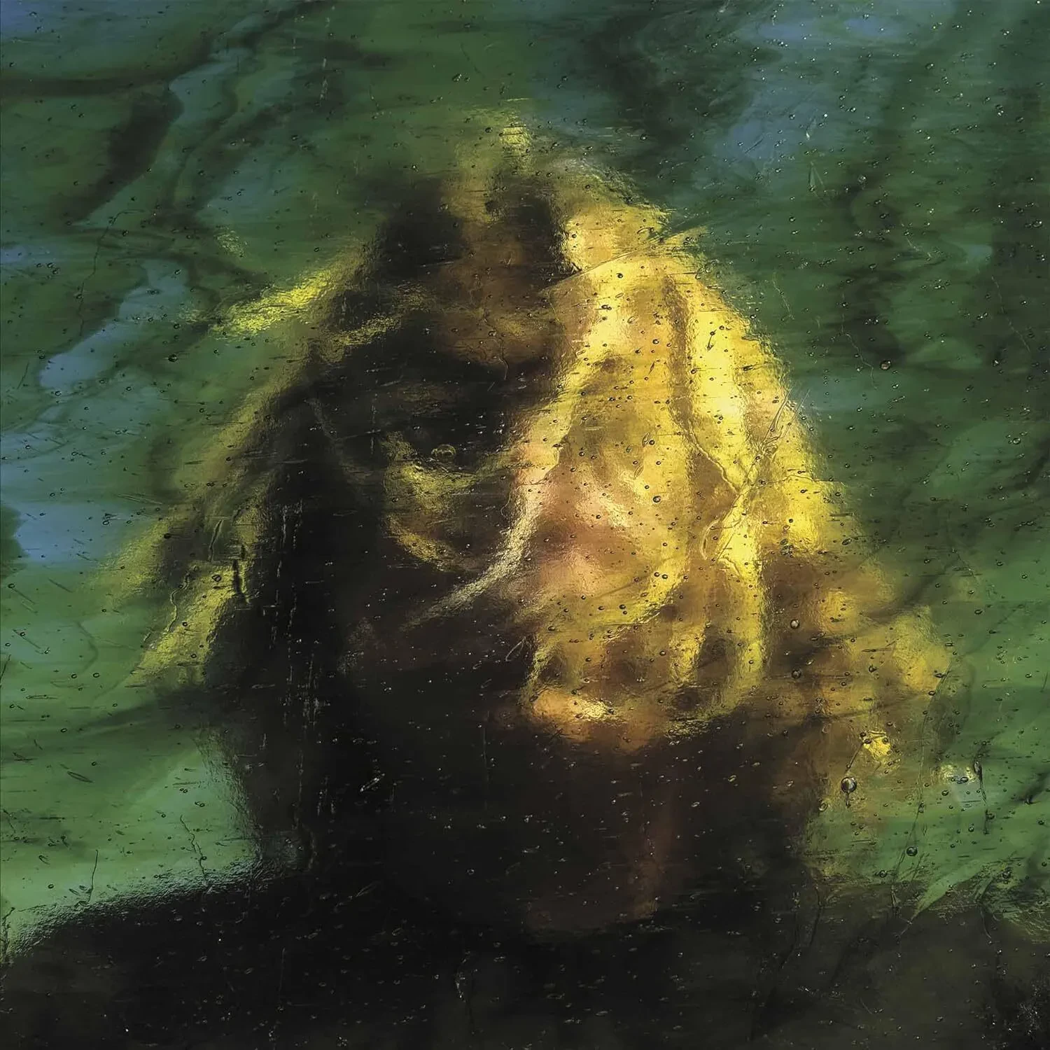 Виниловая пластинка Ty Segall – Three Bells (Релиз 2024)