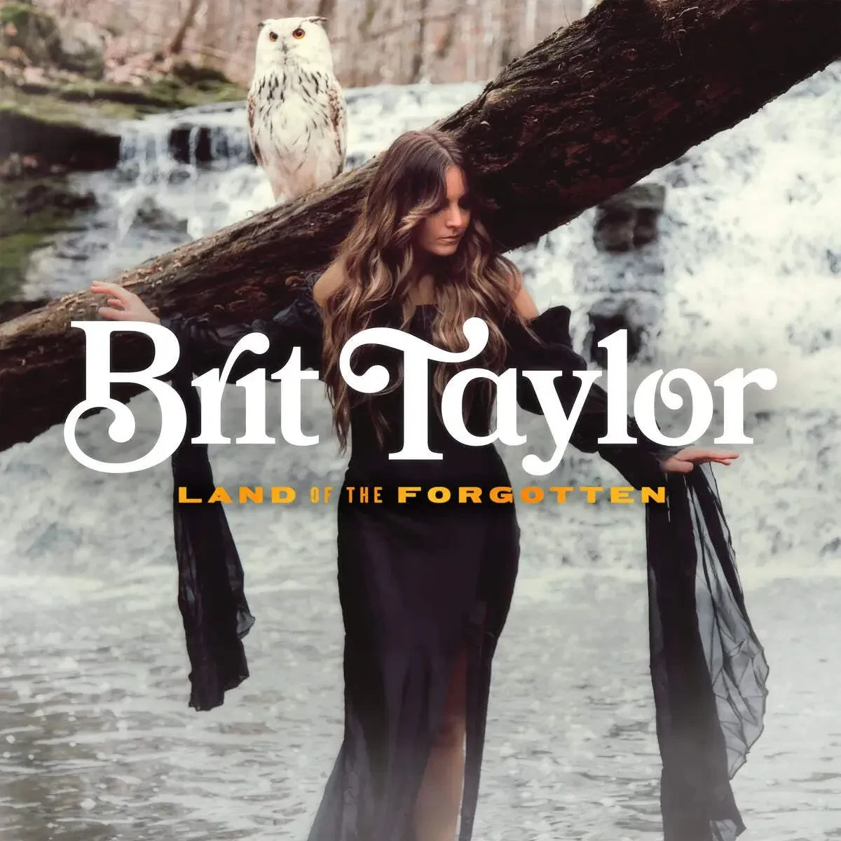 Виниловая пластинка Brit Taylor – Land of the Forgotten (Релиз 2026)