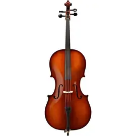 Виолончель Bellafina Prodigy Series Cello Outfit 3/4 Size