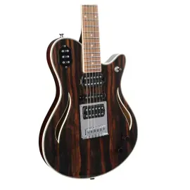 Michael Kelly Custom Collection Special Electric Guitar Striped Ebony
