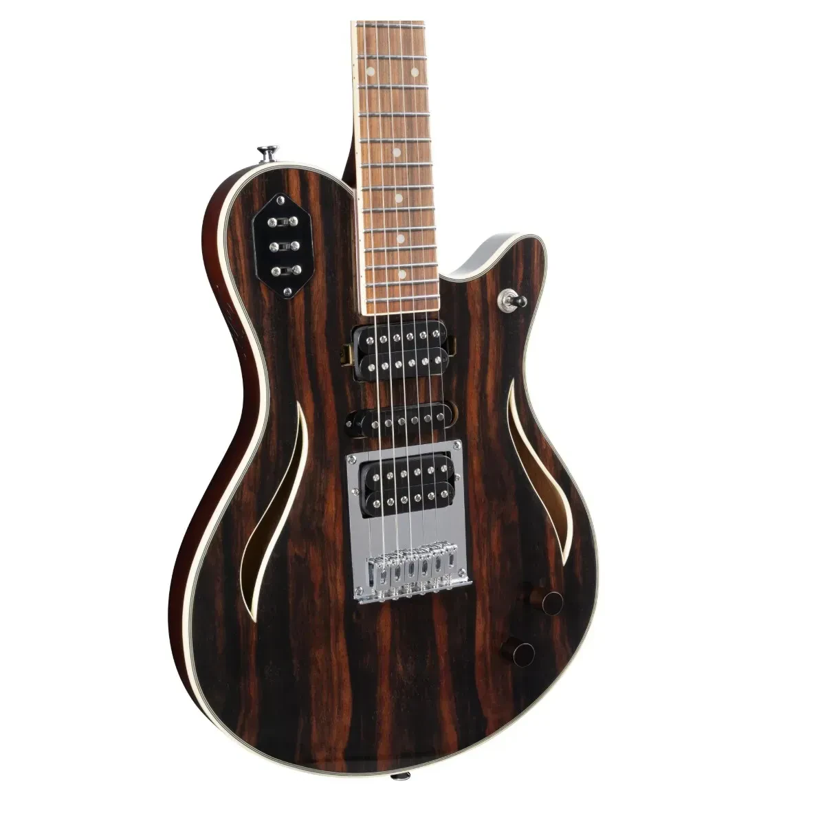 Michael Kelly Custom Collection Special Electric Guitar Striped Ebony