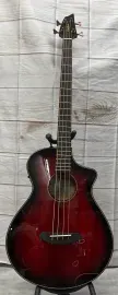 Бас-гитара акустическая Breedlove Pursuit Exotic S Sunset Burst