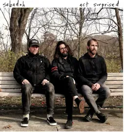 Виниловая пластинка Sebadoh - Act Surprised [New Vinyl LP]