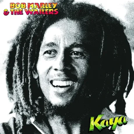 Виниловая пластинка Bob Marley – Kaya