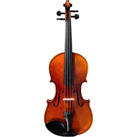 Скрипка Strobel ML-205 Recital Series Violin Outfit 4/4