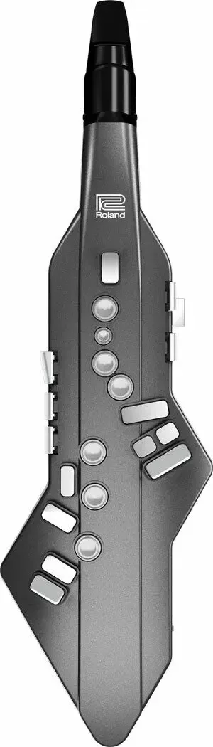 Аэрофон цифровой Roland AE-05 Aerophone GO