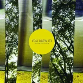 Виниловая пластинка You Blew It! - Keep Doing What You're Doing [New Vinyl LP]