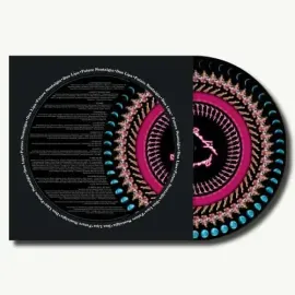 Виниловая пластинка Dua Lipa - Future Nostalgia - Zoetrope Picture Disc [New Vinyl LP] Picture Disc,