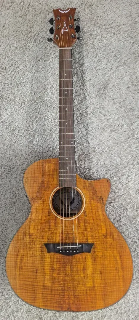Dean Model AX E SPALT Acoustic Electric Cutaway Exotic Spalted Guitar