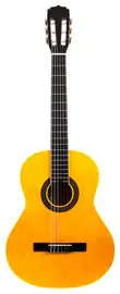 Классическая гитара Aria Fiesta FST-200-53 N