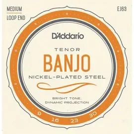 D'Addario EJ63 струны для банджо, тенор
