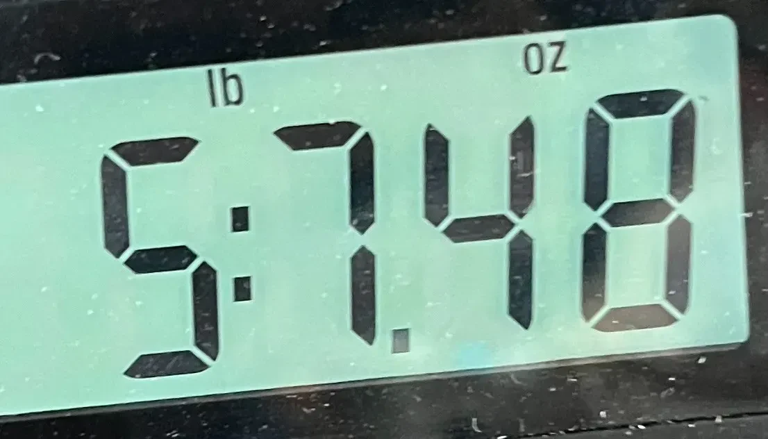 Изображение №2