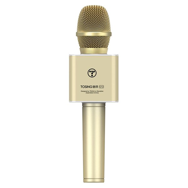 Микрофон для караоке TOSING Q12
