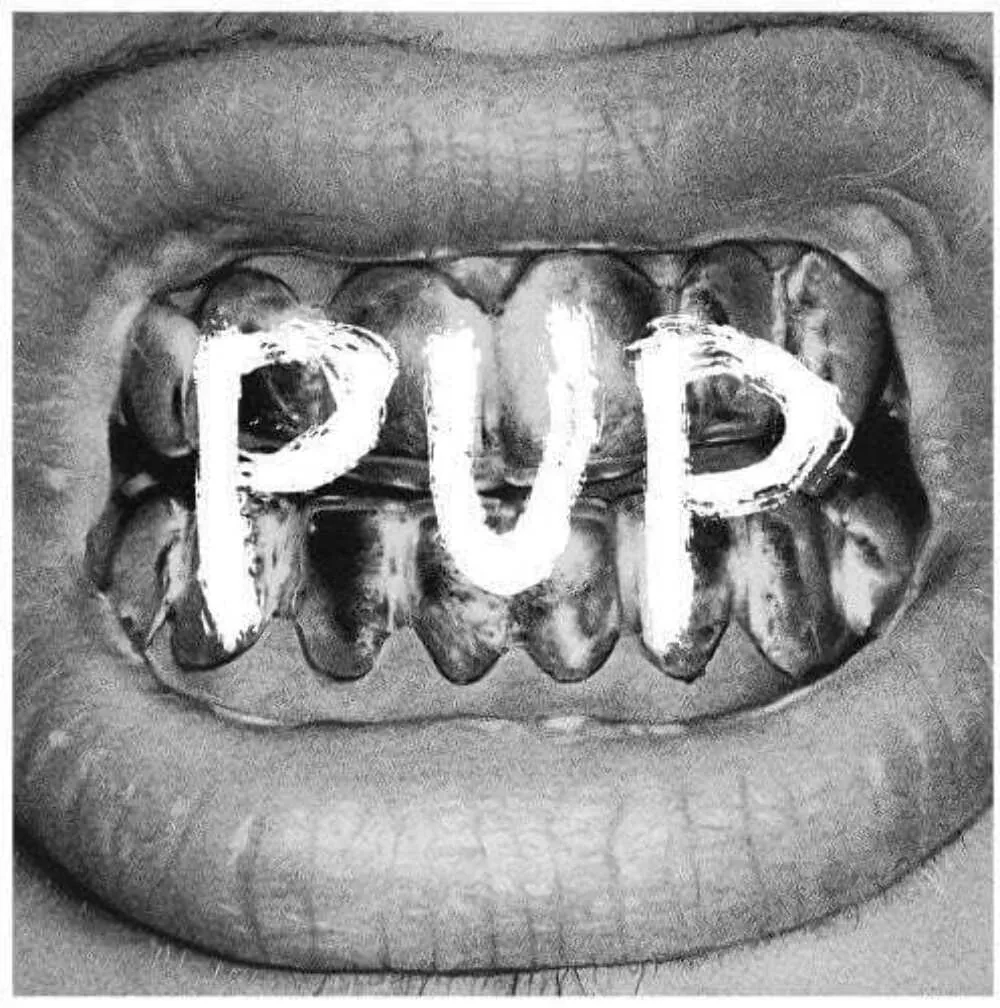 Виниловая пластинка Pup – Pup Релиз 2014 Sealed