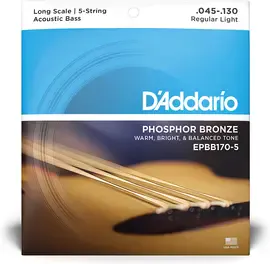 Струны для акустической бас-гитары D'Addario EPBB170-5 45-130