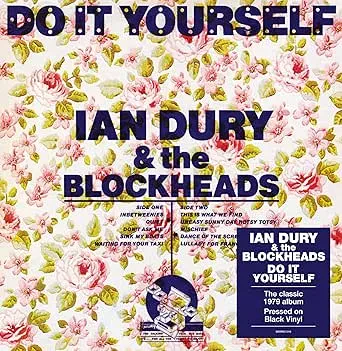 Виниловая пластинка Ian Dury – Do It Yourself