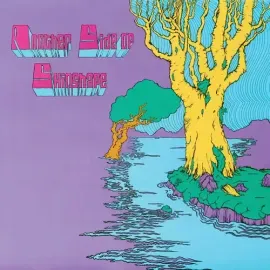 Виниловая пластинка Skinshape - Another Side Of Skinshape [New Vinyl LP]
