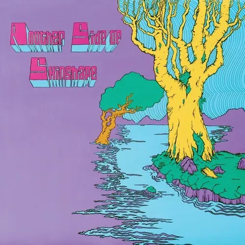 Виниловая пластинка Skinshape - Another Side Of Skinshape [New Vinyl LP]