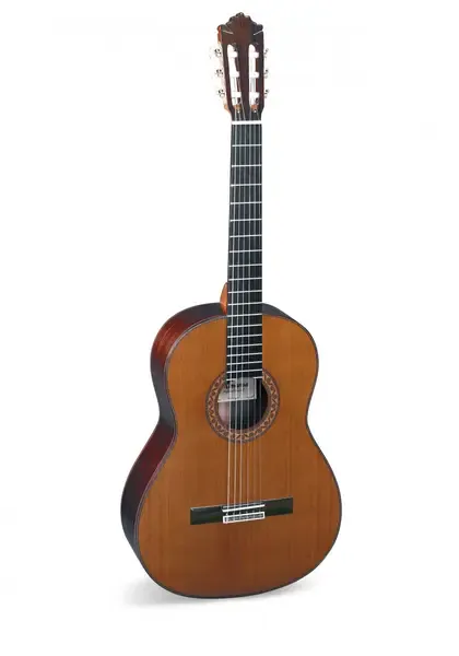 Классическая гитара Almansa PROFESIONAL ROSEWOOD CEDRO ручной работы, с кейсом