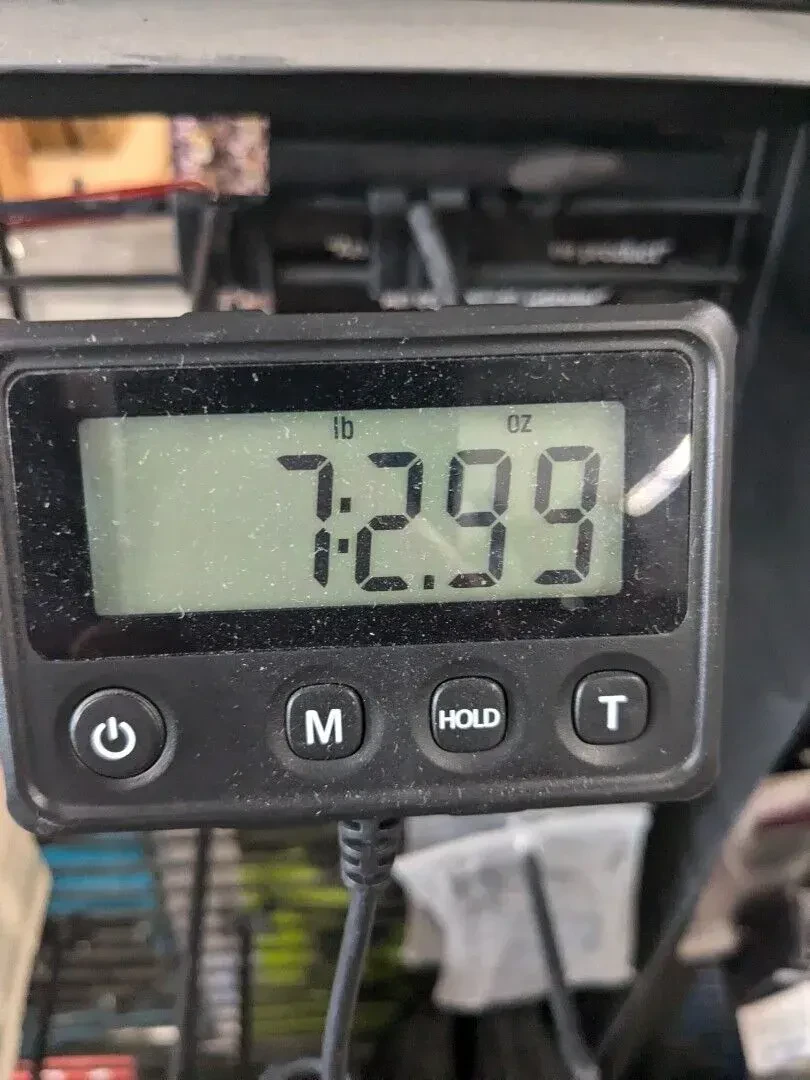 Изображение №7