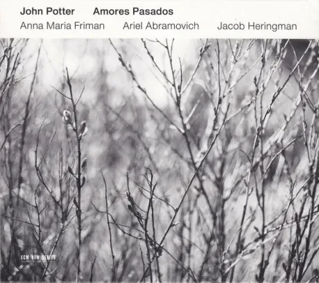 JOHN POTTER - Amores Pasados (CD)