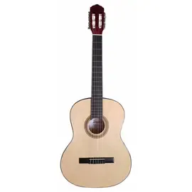 Классическая гитара Terris TC-390A NA 4/4