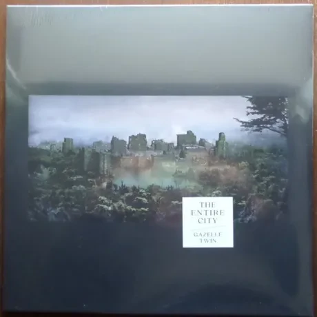 Виниловая пластинка Gazelle Twin – The Entire City