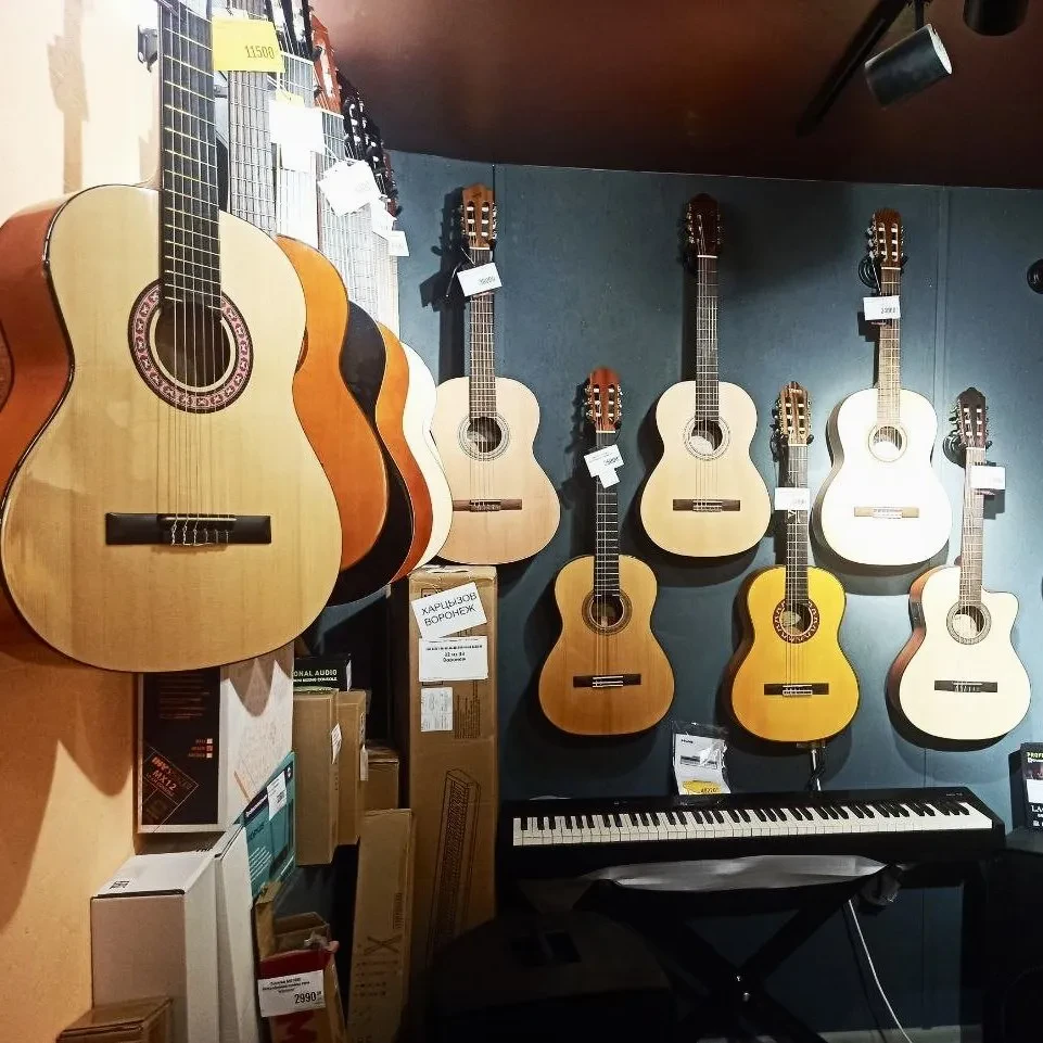 SKIFMUSIC — музыкальный магазин в Воронеже